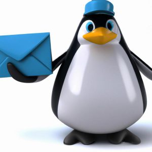 system linux